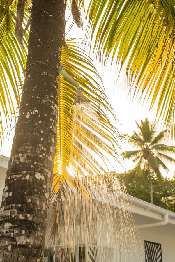 Le Nautique Beachfront Apartments Anse Royale Exterior photo